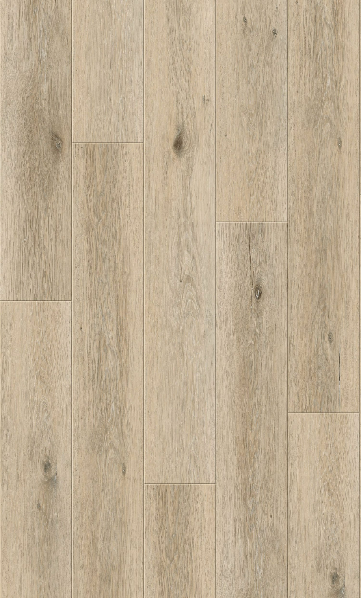 Bloomington HD