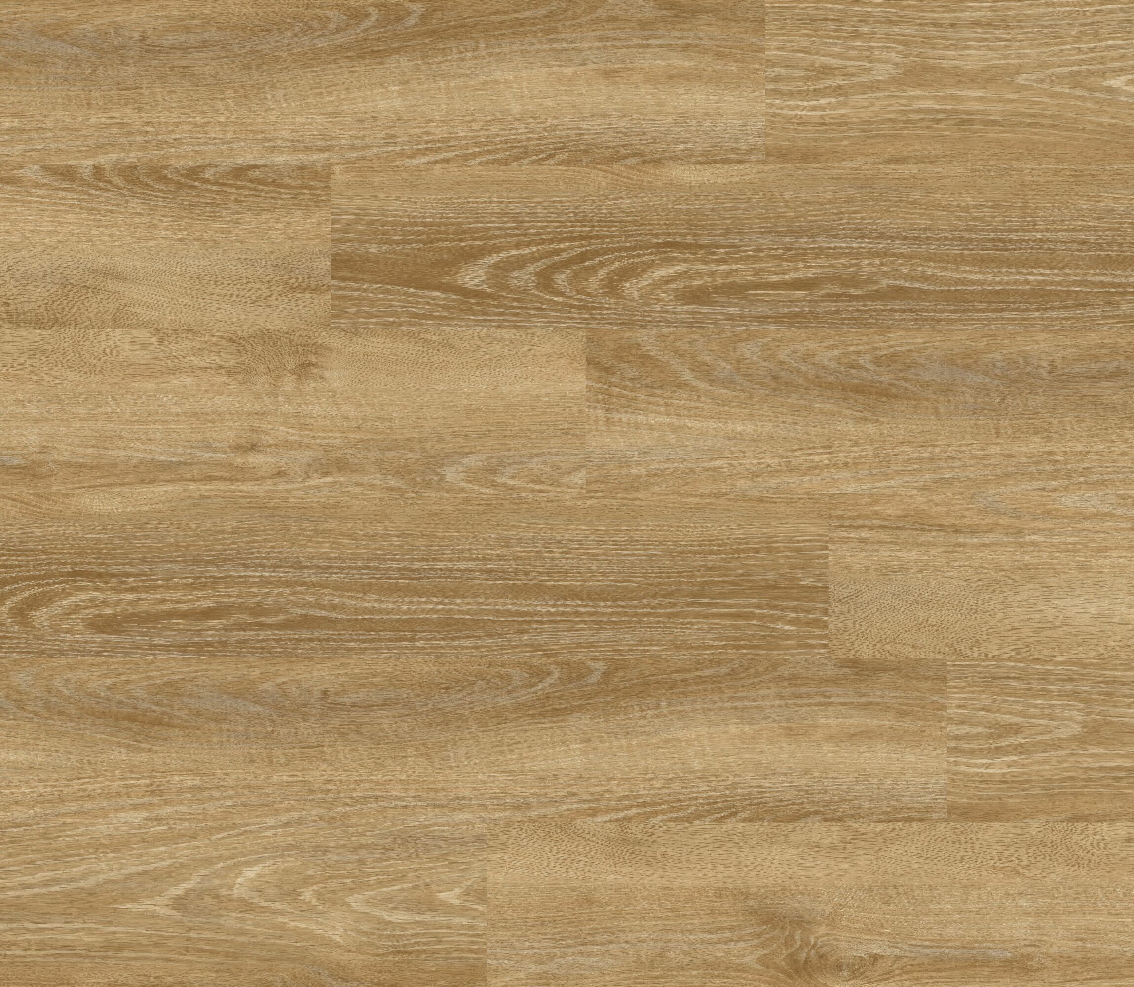 Ginger Beech — IMPACT Alluring™ SPC