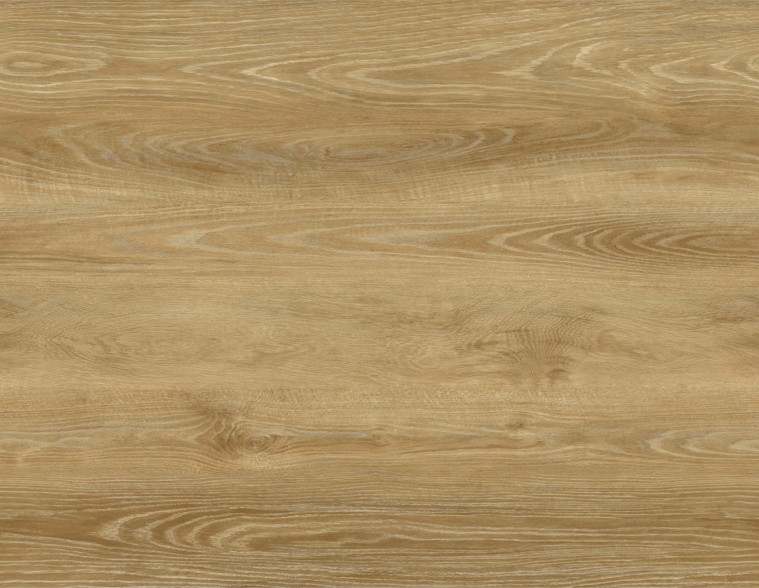 Ginger Beech — IMPACT Alluring™ SPC
