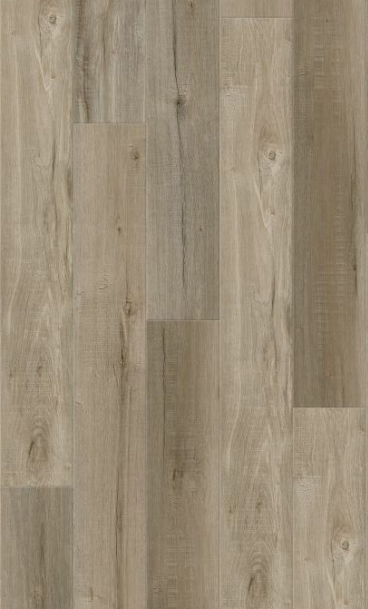 Nokomis HD